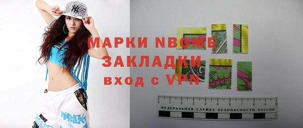 прущие грибы Балабаново