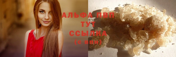 прущие грибы Балабаново
