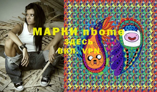 прущие грибы Балабаново