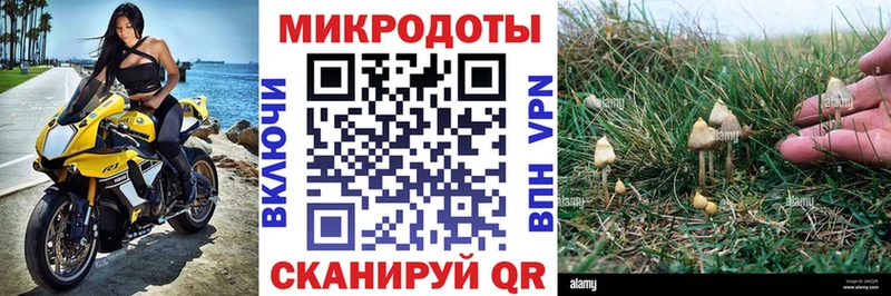 Галлюциногенные грибы Psilocybine cubensis  гидра сайт  Оленегорск  даркнет сайт 